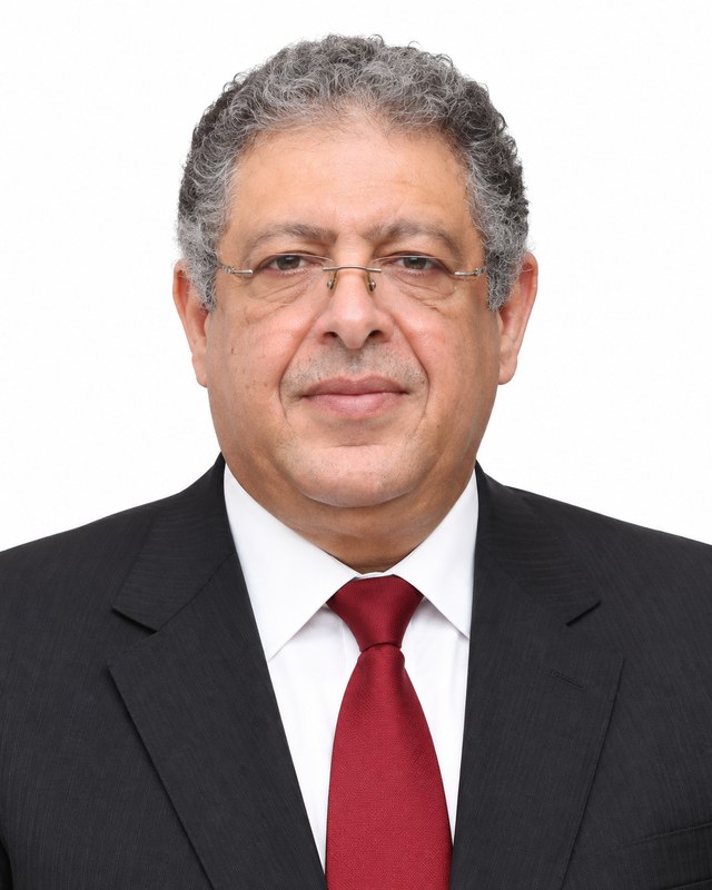 Alaa Salah, Board Member of Mega Communication